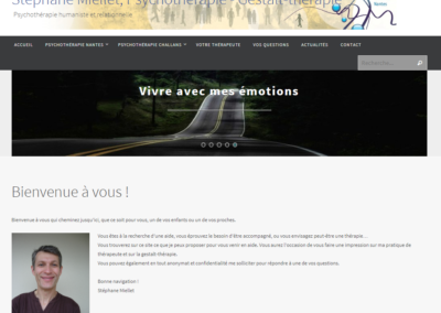 Stephane Miellet, Gestalt Thérapeute